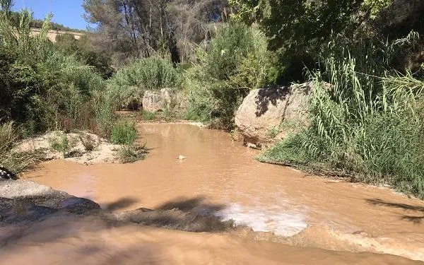 Foto: Associació Mediambiental la Sínia