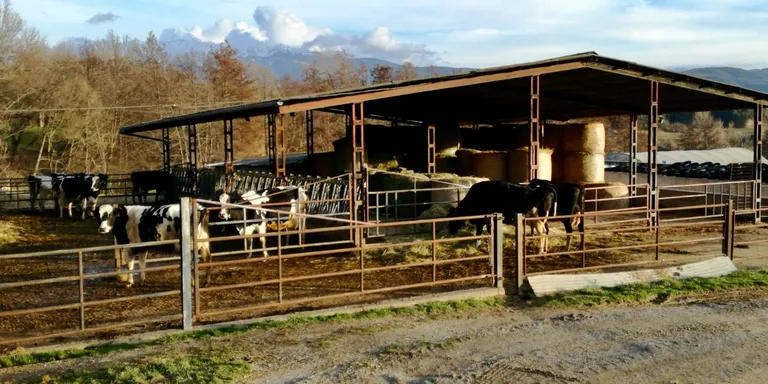 Surten a licitació les obres del centre de selecció i millora de la vaca bruna