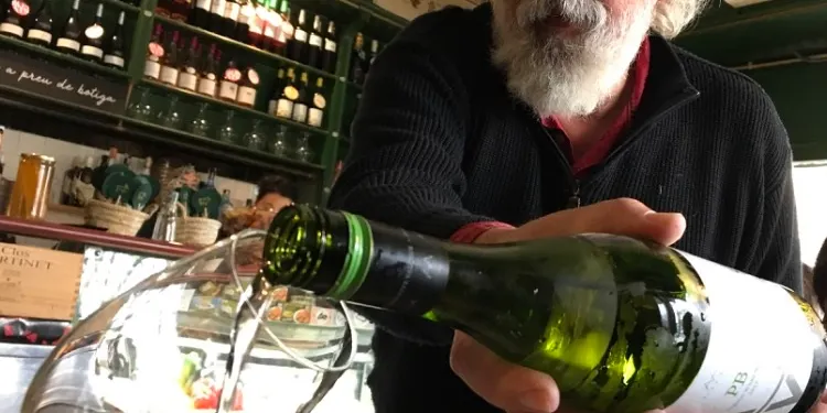 Xerrada de Miquel Figini al Centre Cultural sobre l’afectació del canvi climàtic en el raïm