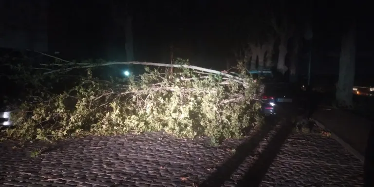 El vent fa caure arbres i branques en una desena de punts de Caldes, amb afectacions a vehicles i mobiliari urbà
