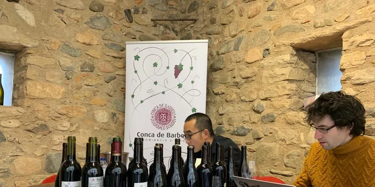 Els monitors de les KT preparen les colònies del 2020 sense saber si es podran fer