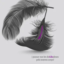 Delikades del 14/8/2025 - episode art