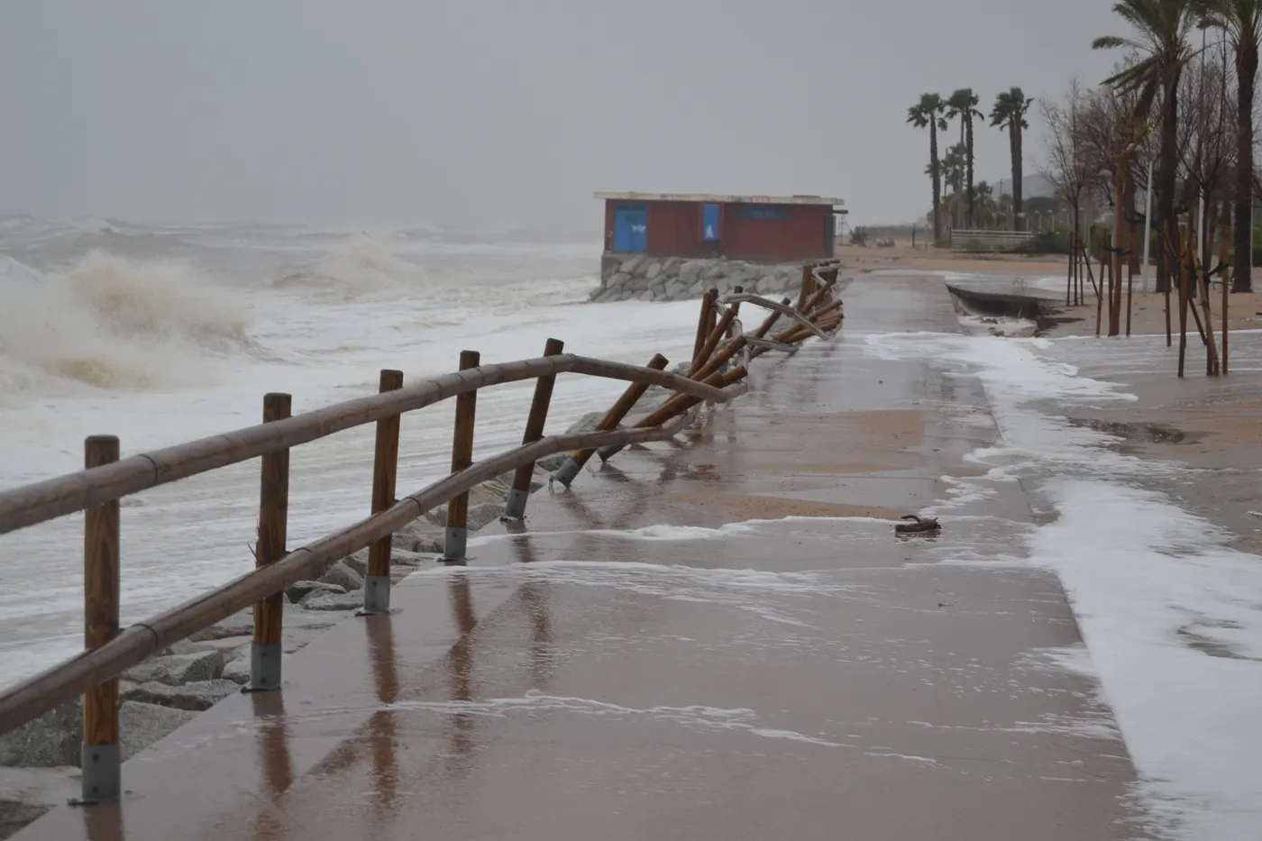 Es constitueix el Comitè científic que avalarà les estratègies en emergència climàtica al Maresme