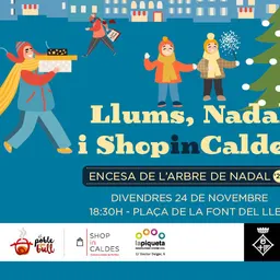 Encesa llums de l’arbre de Nadal (divendres 24 novembre) del 24/11/2023 - episode art