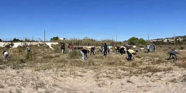 Una quarantena de persones participen en la jornada 'Viu La Platja!' d'Altafulla a la Roca del Gaià