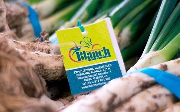Foto: Horta Germans Blanch