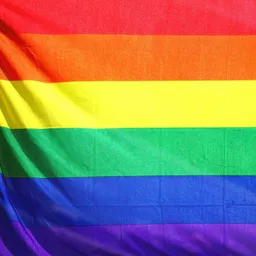 Entrevistes de la Justa del 28/6/2021 — Entrevista a Joan David Baeta sobre l’Orgull LGTBI a Sant Just i la visibilització del futbol femení - episode art