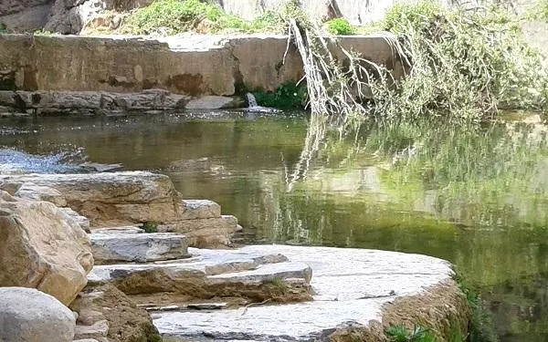Foto: Associació Terres del Gaià