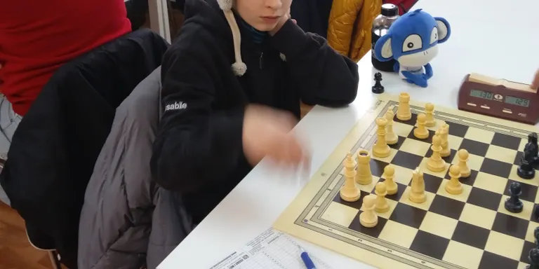 L'Escacs Club La Seu participa al Campionat de Catalunya per edats