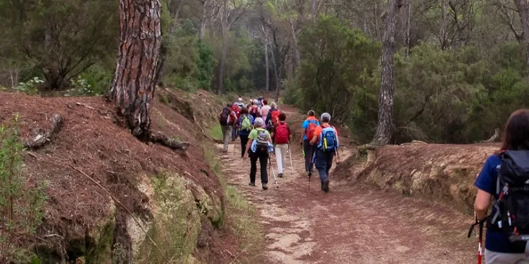 El Centre Excursionista Anem a Caminar farà 25 sortides de muntanya el 2019
