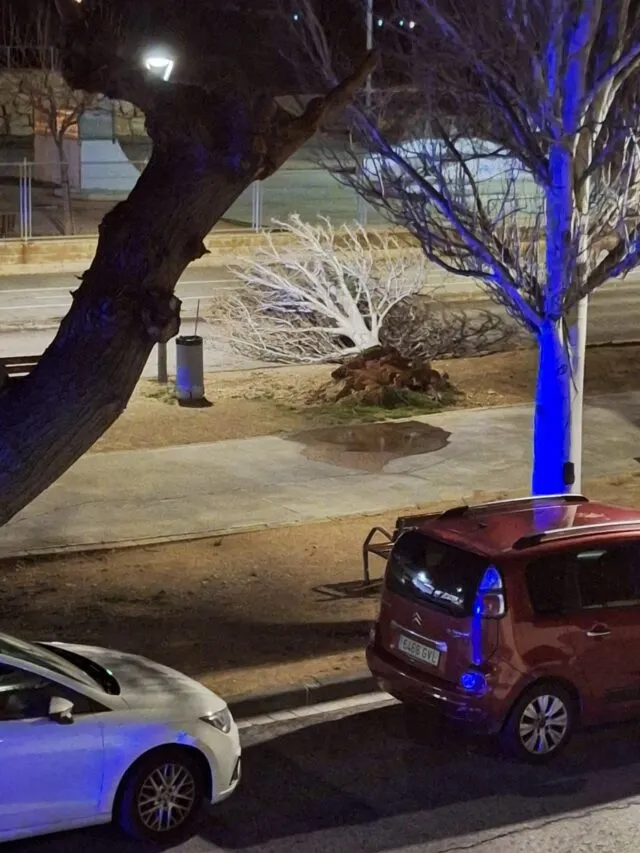 Les fortes ventades deixen arbres caiguts a Valls