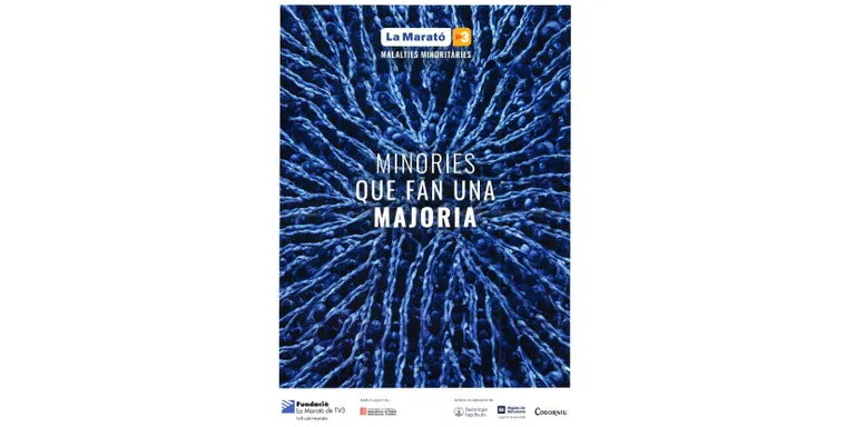 La Seu d'Urgell acaba la col·laboració amb La Marató amb una aportació de més de 20.000 euros