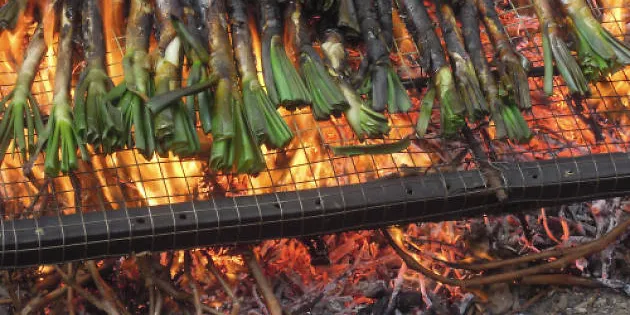 El grup de consum alternatiu Òlbia proposa una calçotada popular per al diumenge 22 de març