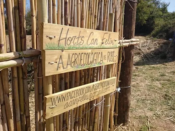L’Assemblea d’Aturats de Rubí treballa un hort urbà a Can Feliu