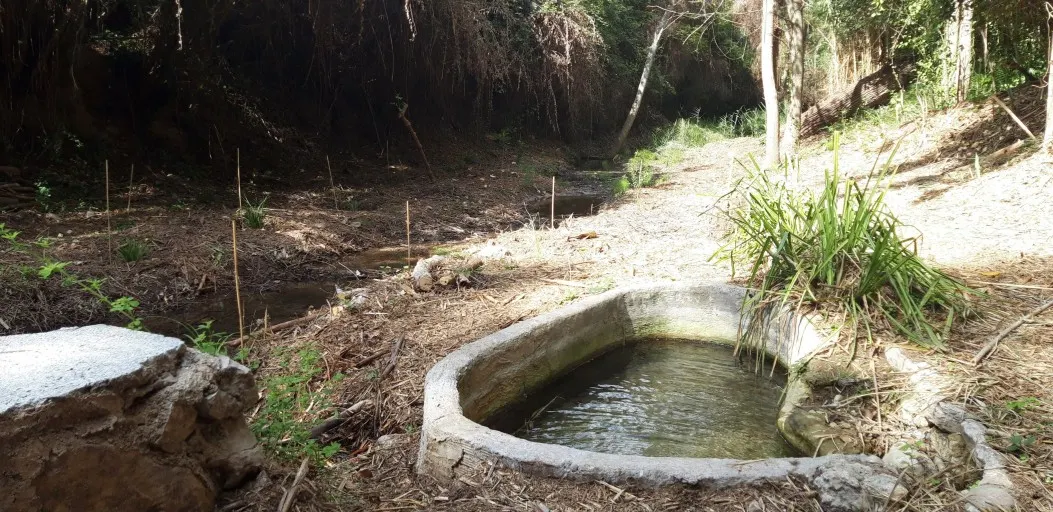 Recta final de la recuperació i neteja del Torrent del Sant Pou de Valls