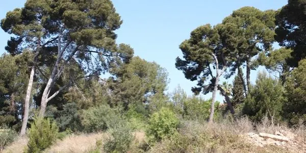 La ubicació del nou dipòsit de vehicles d'Altafulla, a l'aire