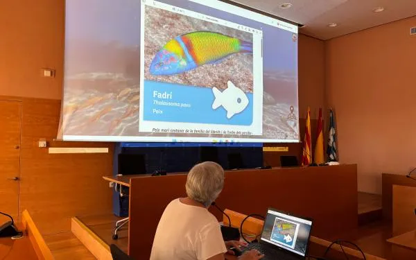 Foto: Ajuntament de Torredembarra
