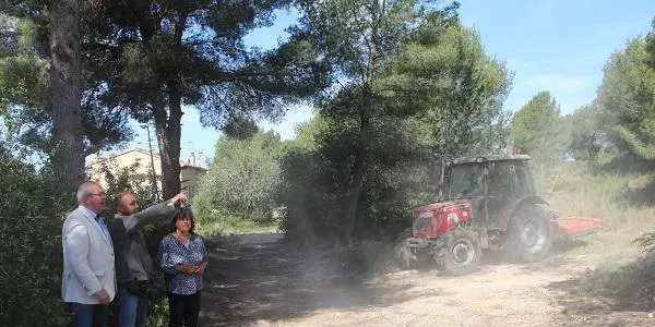 Comencen els treballs de neteja i prevenció d’incendis forestals a la muntanya de Sant Antoni