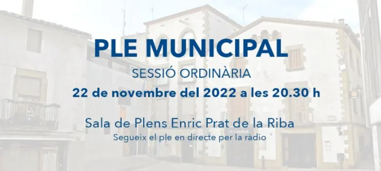 Ple Municipal – Sessió ordinària 22/11