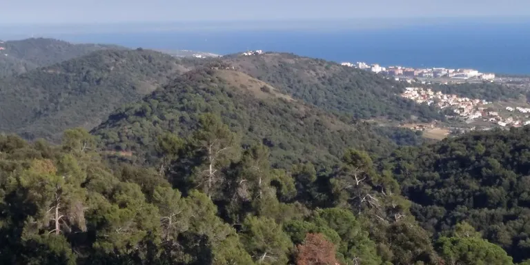 El Parc de Montnegre-Corredor ampliarà la seva superfície i inclourà el Turó de Montpalau i La Guàrdia