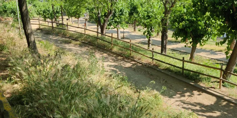 Els usuaris i veïns del parc Fèlix Cucurull prenen la iniciativa per la neteja de l'espai