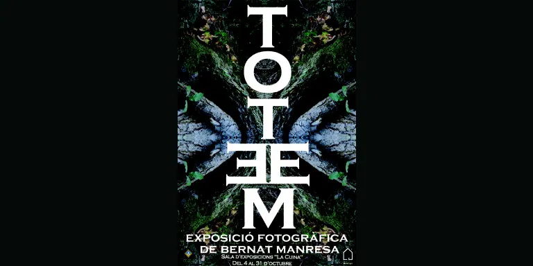Bernat Manresa exposa 'Totem' a la sala La Cuina