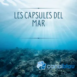 Les càpsules del mar (capítol 6) - episode art