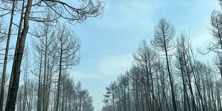 L'Escola Agrària del Solsonès organitza una jornada de mesures de prevenció i autoprotecció d'incendis forestals a nivell de finca
