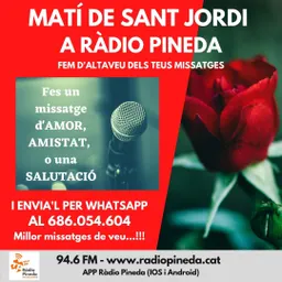 Missatges de veu de Sant Jordi 2021 - episode art