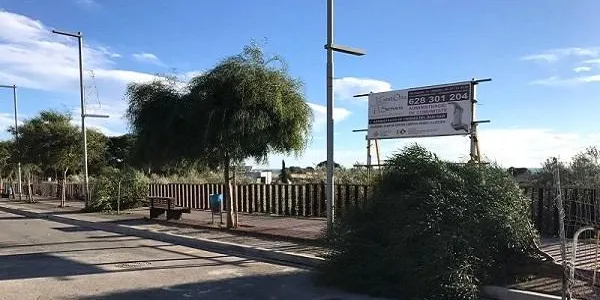 El temporal de vent fa caure diversos arbres a Altafulla