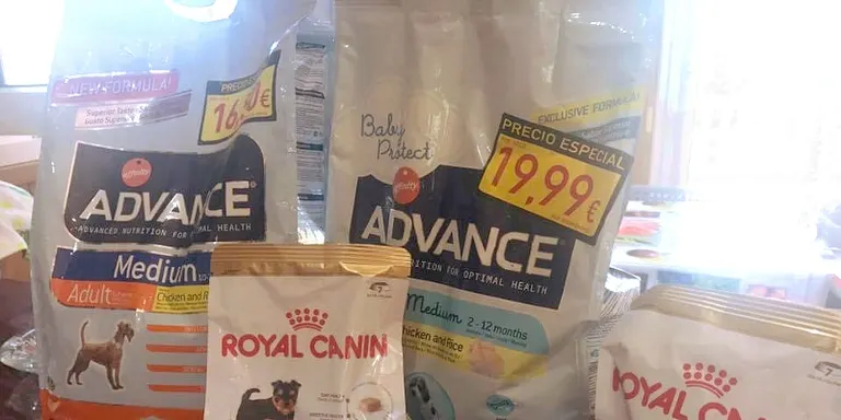 Una entitat ajuda els rubinencs amb problemes econòmics a mantenir les seves mascotes