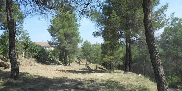 La Diputació de Barcelona destina 2,5M en neteja de vegetació a les urbanitzacions