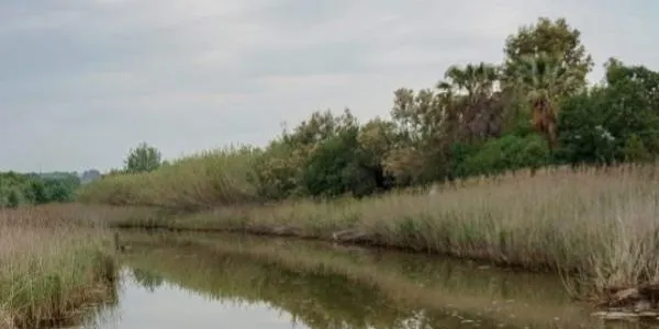 L’Ajuntament d’Altafulla demana que s’unifiqui la llera del Gaià en un sol espai natural protegit