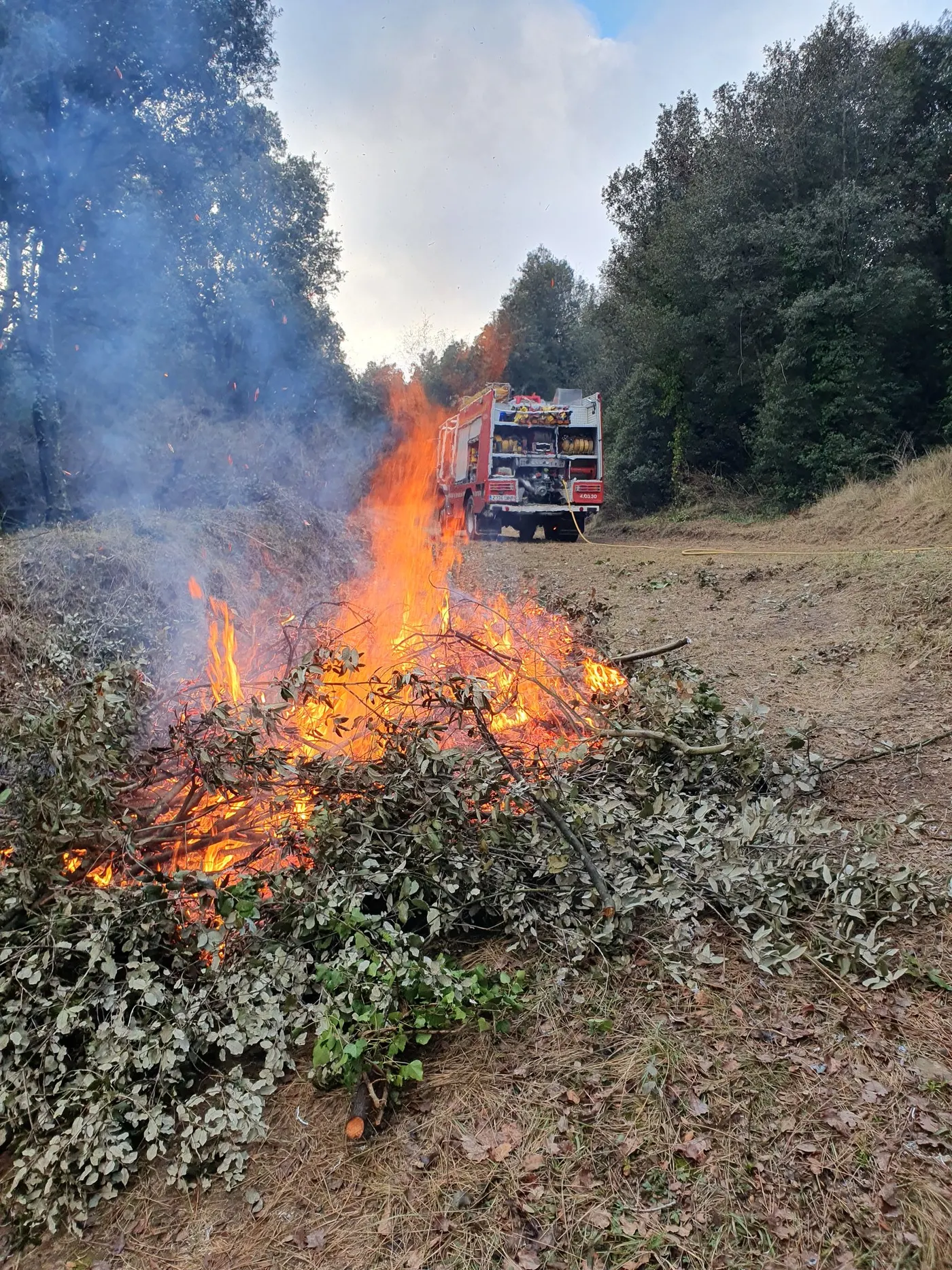 La campanya forestal d’estiu s’avança malgrat la pluja