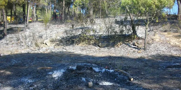 Aquest cap de setmana ha entrat en vigor la prohibició de fer foc d'esbarjo a les zones forestals