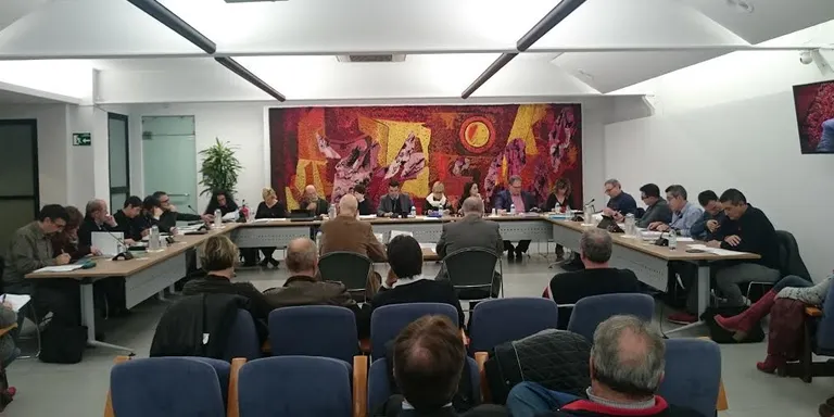El ple aprova el pressupost 2017 de l'Ajuntament de Pineda que puja a 28,5 M