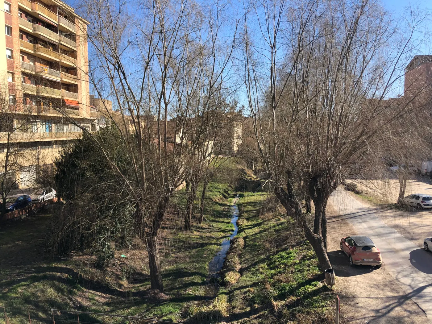 Solsona millorarà l'arbrat urbà de quatre zones de la ciutat