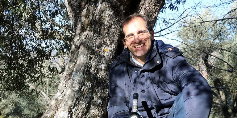 El Pallars Jussà aposta per la producció d'oli d'oliva de qualitat