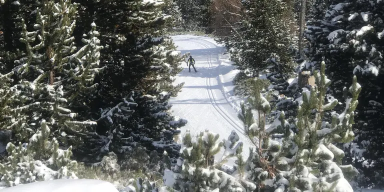 Les estacions de Lles de Cerdanya i Aransa tanquen provisionalment arran de l'aïllament perimetral