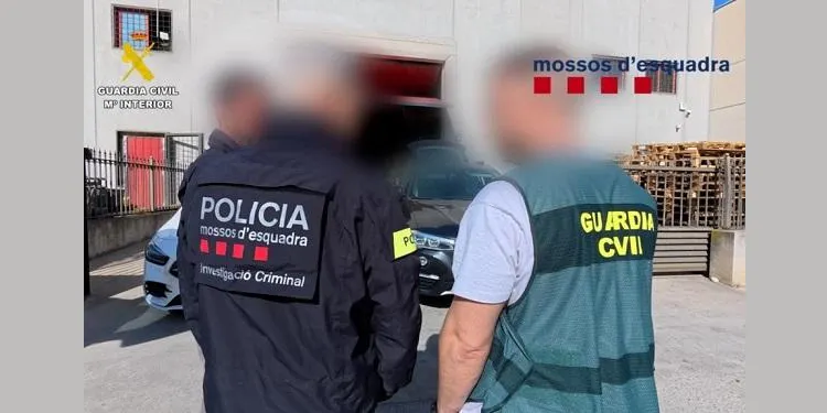 Desarticulada una trama empresarial que proveïa material per a grans plantacions de marihuana