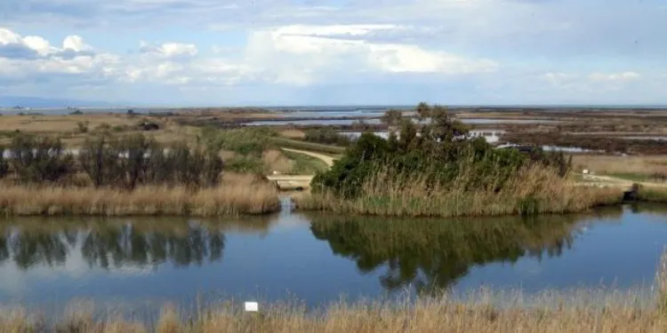Continuen les aules de la gent gran amb una conferència sobre el Delta de l’Ebre