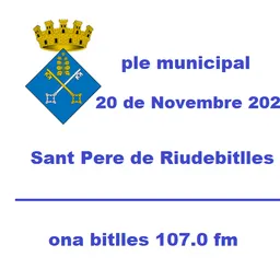 Ple Municipal 20 de Novembre de 2024 - episode art