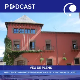 Veu de plens del 20/4/2021 - episode art