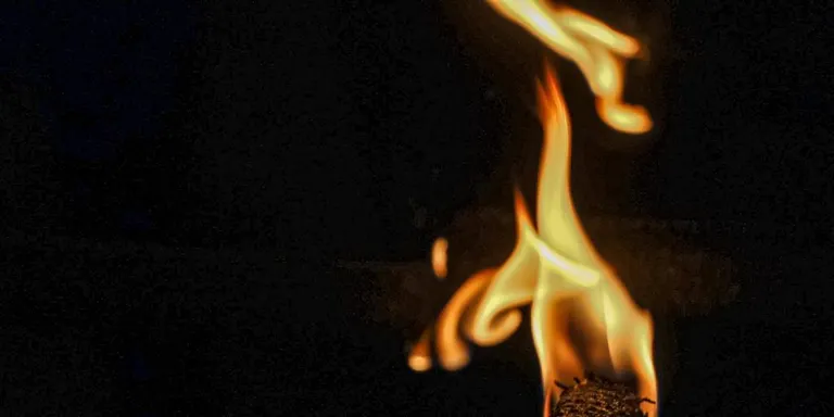 Els veïns de Sobirans reclamen més vigilància per evitar que gent de fora el barri llenci brossa on no toca