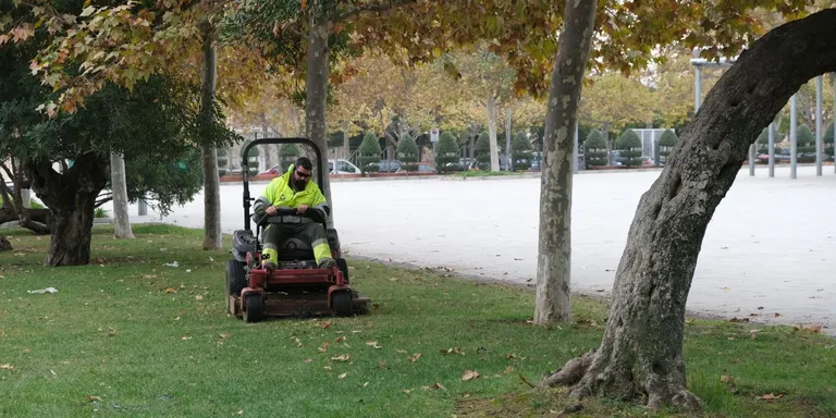 El nou contracte de jardineria de la zona centre vila inclou la plantació d’una seixantena d’arbres