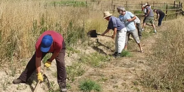 Una jornada de voluntariat contribueix a la conservació de la finca del Bassot de Renau