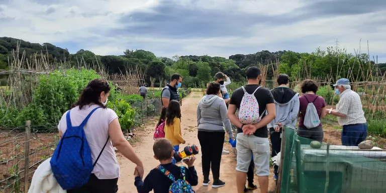 Les visites guiades als horts domèstics de la Torre Marimon apleguen 61 assistents
