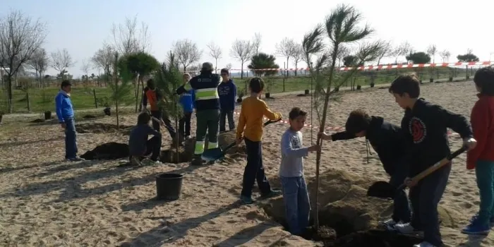 El projecte de recuperació ambiental a les platges de les escoles, protagonista d'una exposició