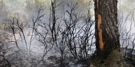 Les tempestes de les últimes hores causen diversos petits incendis al Solsonès