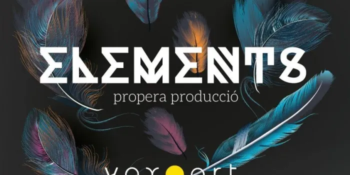 El conjunt Vox-Art, del Cor l’Aixa, busca nous cantaires